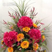 UMAR SAEED (@umarsae74808909) 's Twitter Profile