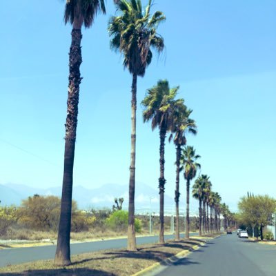 HardHumano's profile picture. https://t.co/kvSEvlJ7Eh