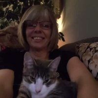 Sonja (@greentreebean) 's Twitter Profile