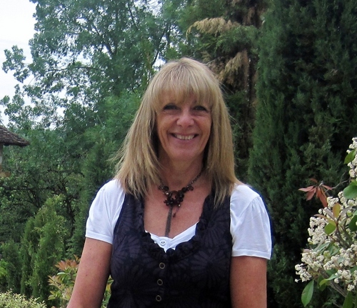 Education Consultant and School Improvement Adviser ,