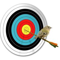 Goldcrest Archers Official(@G0ldcrest) 's Twitter Profile Photo