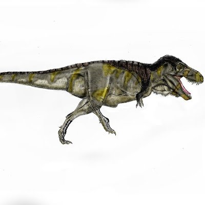 A96006's profile picture. Just browsing