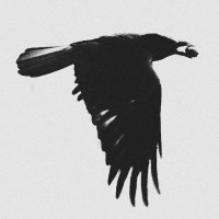 XLIFE (@xlife_nft) 's Twitter Profile