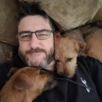 Kev THFC Wood (@bullet0512) Twitter profile photo