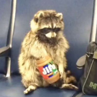 carshield50's profile picture. 