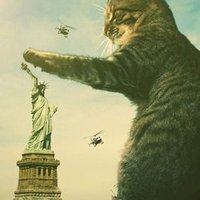 Brewster (@brewsterlala) 's Twitter Profile