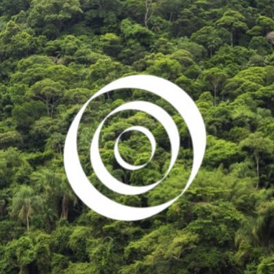 Amazon Investor Coalition - Increasing and improving investments in the Amazon rainforest https://t.co/wh73zyupqH