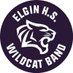 Elgin Wildcat Band (@wildcatbandtx) Twitter profile photo Elgin Wildcat Band (@wildcatbandtx) Twitter profile photo
