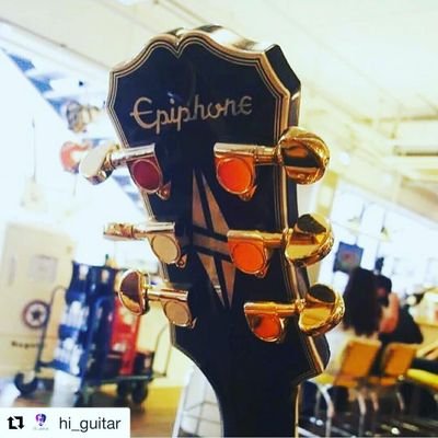 luthierror's profile picture. 