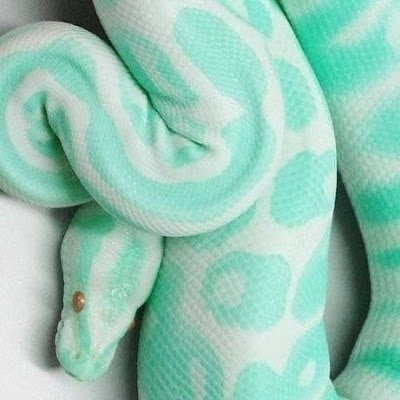 Damien_Dark1's profile picture. 