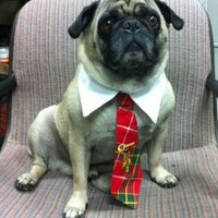 Kurt Jensen (@bootbo) 's Twitter Profile