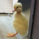 Michael Hilley - @MichaelHilley7 - Twitter