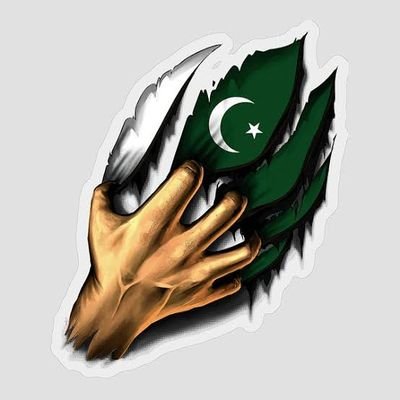 Pakistan 🇵🇰 First. Talk on Facts Only. No Assumptions.