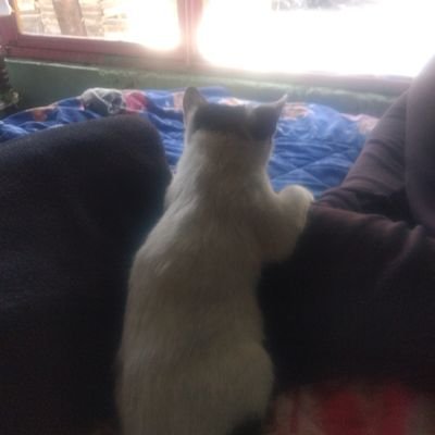 EpigmenioNava's profile picture. 🥺