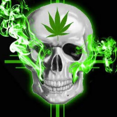 terpy_daze's profile picture. 