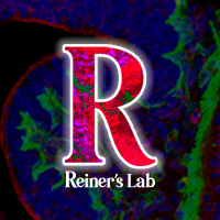 Orly Reiner's Lab (@reiner_lab) 's Twitter Profile