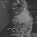 الموسيقار (@hrybansbry) Twitter profile photo الموسيقار (@hrybansbry) Twitter profile photo