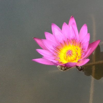 metaimaged's profile picture. 