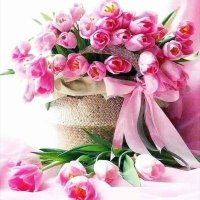 Adore 🌼 Beauty 🌹 (@a8abm) 's Twitter Profile