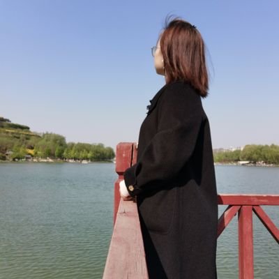 annette_jia's profile picture. Building material export