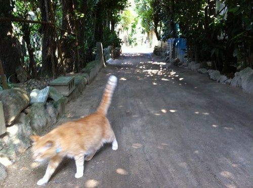 tahakababonba's profile picture. 