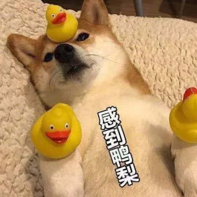 zz9805_'s profile picture. 