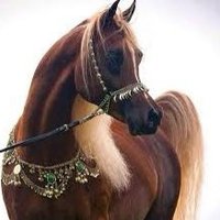 خلـود ⇝ (@kokh2o3o) 's Twitter Profile