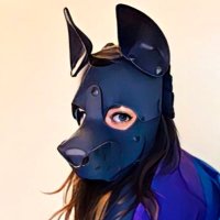 Knightly🌙 (@knightlywolfpup) 's Twitter Profile