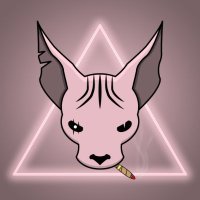Crypto/info/only/ (@crypto_info991) 's Twitter Profile
