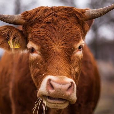 Marketstoic's profile picture. Just a bloke..