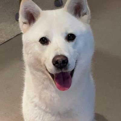 _aniroes's profile picture. #설인아💘 / 내 탐라에 설인아 심어주실 분들 환영