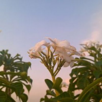 UllasSHR's profile picture. Helping you use AI in the best ways possible