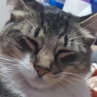 A (@adrerek19) 's Twitter Profile