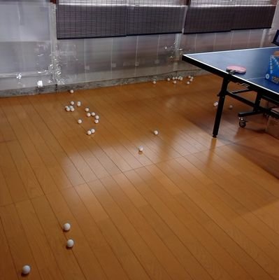 新潟県民→東京都民
卓球好きの人仲良くしてください！！