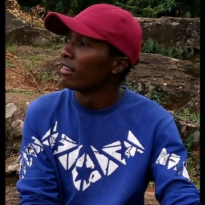 KipngetichVan's profile picture. An  electrical technologist