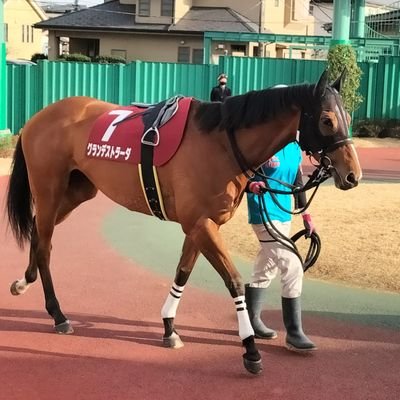 taccu_bamboo's profile picture. 🐴ｵｰｽﾄﾗﾘｱ馬主🇦🇺
ｺｽﾊﾟ重視系一口馬主(ﾉﾙﾏﾝﾃﾞｨｰ.YGG.ﾀｰﾌｧｲﾄ.ﾛｰﾄﾞ.G1、元➡️ｼﾙｸ.🥕.広尾.京ｻﾗ)
🐴現役
ｳﾞｪﾙﾐｾﾙ,ﾊﾁﾒﾝﾛｯﾋﾟ,ｵｰﾌﾞﾙｸｰﾙ,ｶﾝﾃｨｰﾕ,ﾙｰﾁｪﾌｨｵｰﾚ…
🐴引退
ﾄﾞﾗｲｽﾀｳﾄ,ｸﾞﾗﾝﾃﾞｽﾄﾗｰﾀﾞ,ﾐﾆｵﾝﾍﾟｰﾙ…