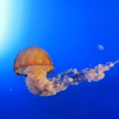 mwaterg's profile picture. 