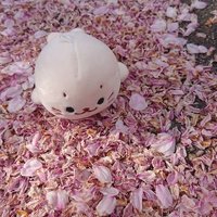 えみゅー (@emu_bird_seal) 's Twitter Profile