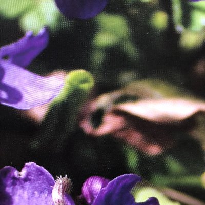 Sturmer Local History Group has been established to create an archive as an ongoing record of the heritage of Sturmer.