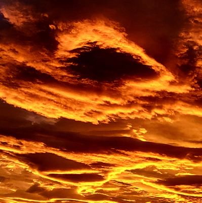 TerryCarran's profile picture. 