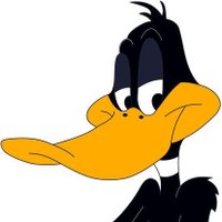 Daffy Duck(@slopokerodreque) 's Twitter Profile Photo