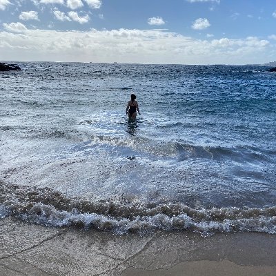 ReluctantAnonF's profile picture. Irish, Polish, British & Swiss CEO. Grand-daughter of a refugee. Pronouns In/The/Bin.