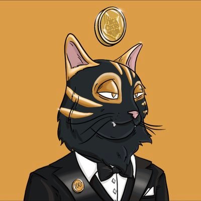 qibさんのプロフィール画像