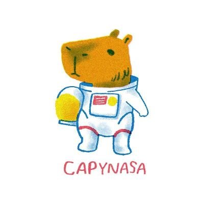 retweeter •
capybara fan •
kangaroo antifan •
one piece •
jujutsu kaisen •
FOOD •
III
