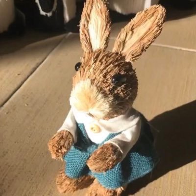 M04794984's profile picture. 