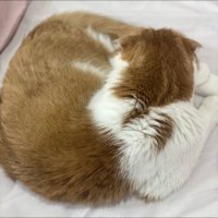 shun (@gucci_0410) Twitter profile photo