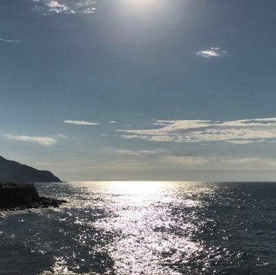 vDecov8r0r's profile picture. 