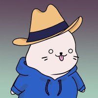 SpaceFins (@finsspace_eth) 's Twitter Profile