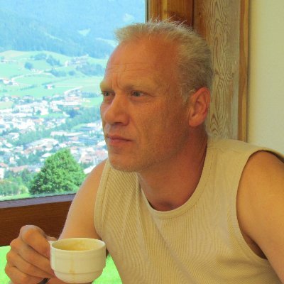 HenkvanderLin12's profile picture. published papers about QT instability, QT versus body temperature relationship, electromechanical window and seizure-induced Torsades de Pointes