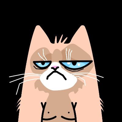 DottiekittyNft's profile picture. •Nft artwork available on @rarible
•You can also see my portfolio and more contact in this link  👇